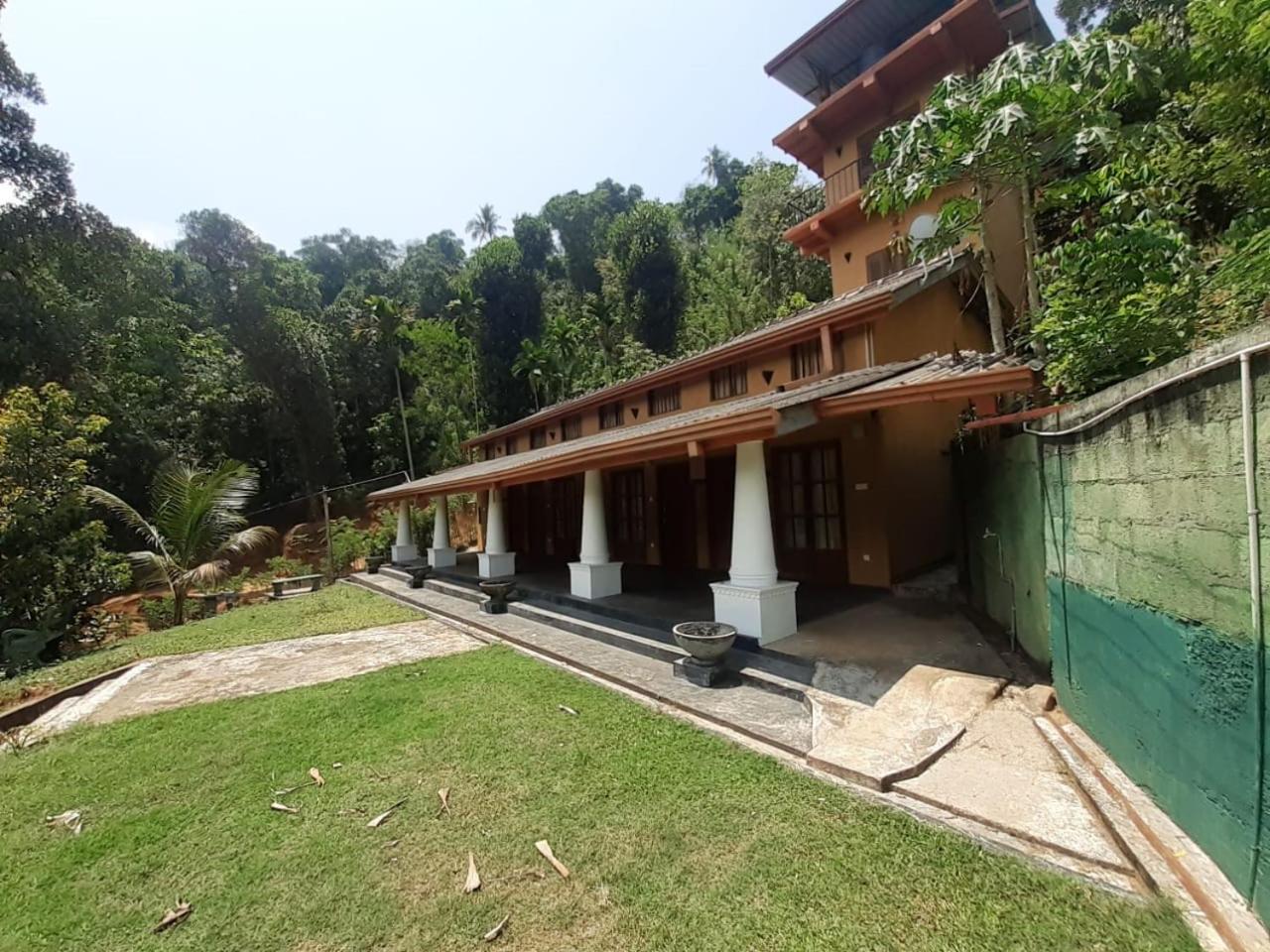 Eagles Eco Lodge - Kandy view 5