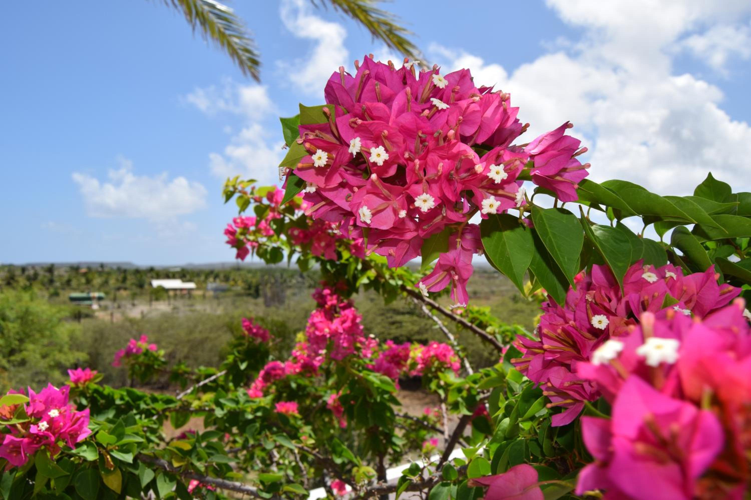 Saint Joris a tiny Boutique Resort