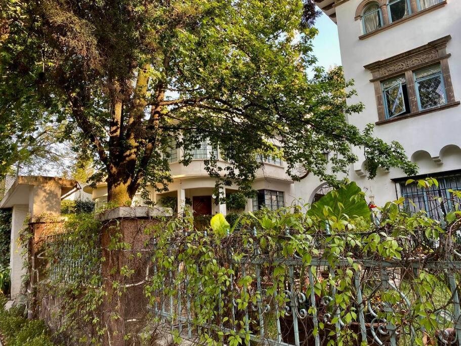 Urban Oasis with an office en las Lomas de Chapultepec — Mexico City