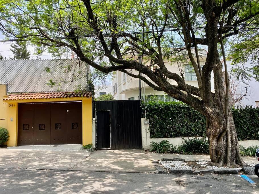 Urban Oasis with an office en las Lomas de Chapultepec photo 5