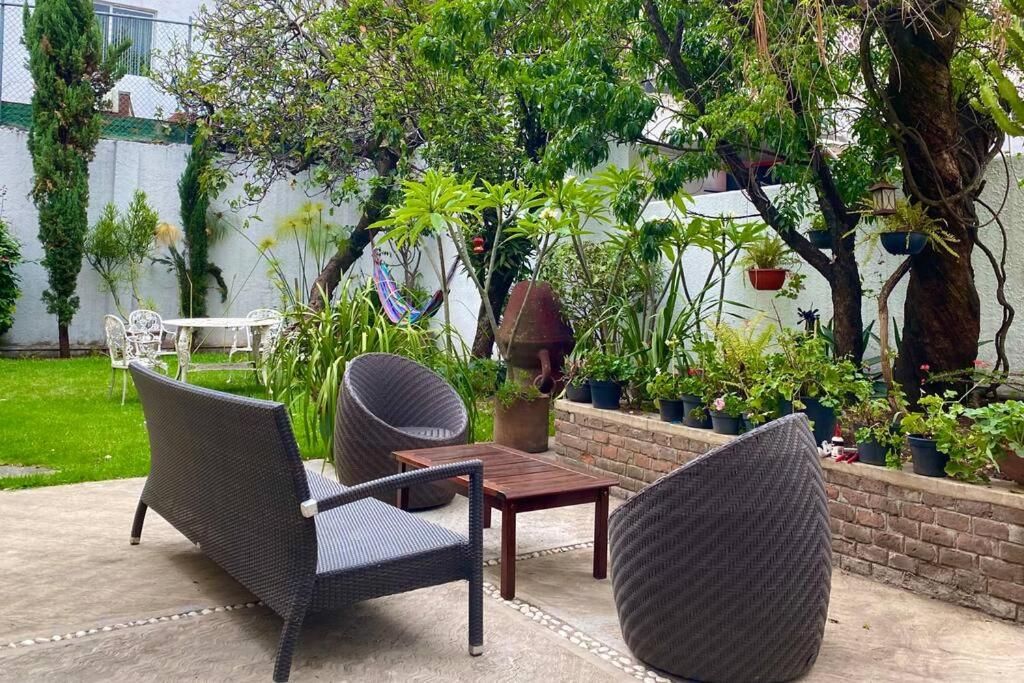 Urban Oasis with an office en las Lomas de Chapultepec