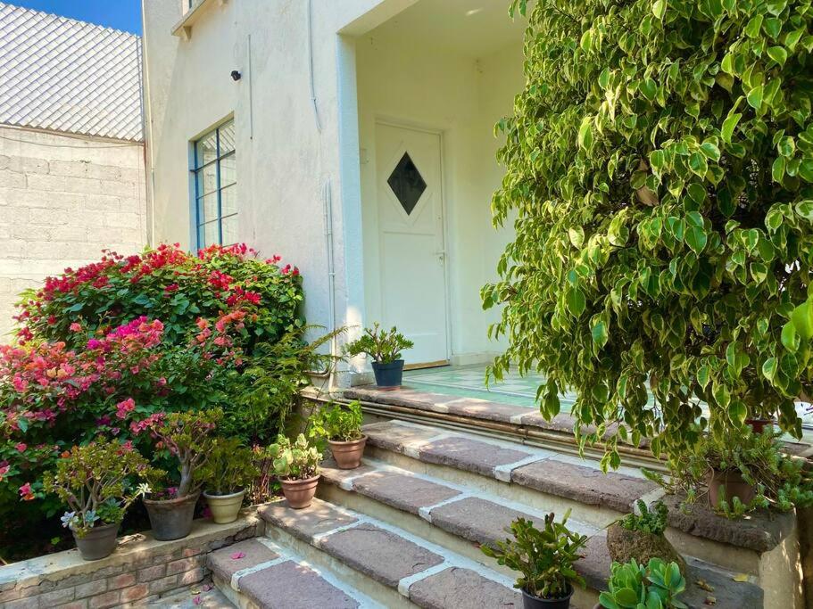 Urban Oasis with an office en las Lomas de Chapultepec