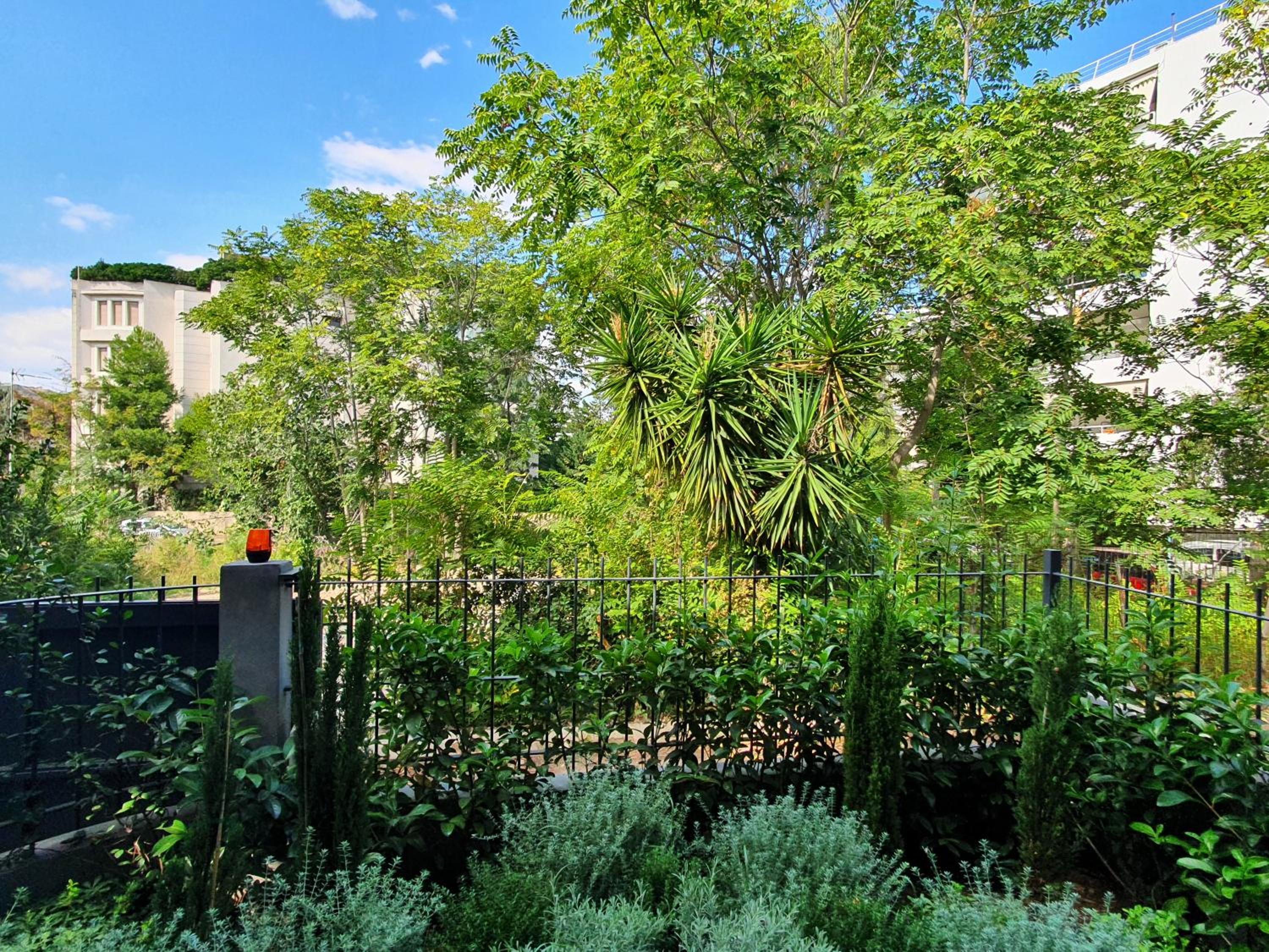 Amazing Stay photo 3