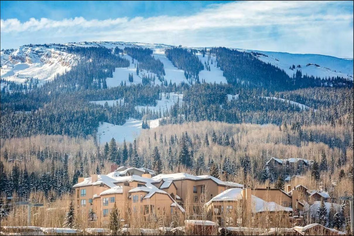 Chamonix 31, Snowmass Ski-In/Ski-Out Condo w/Shared Hot Tub/Pool/Private Washer/Dryer/WiFi view 5
