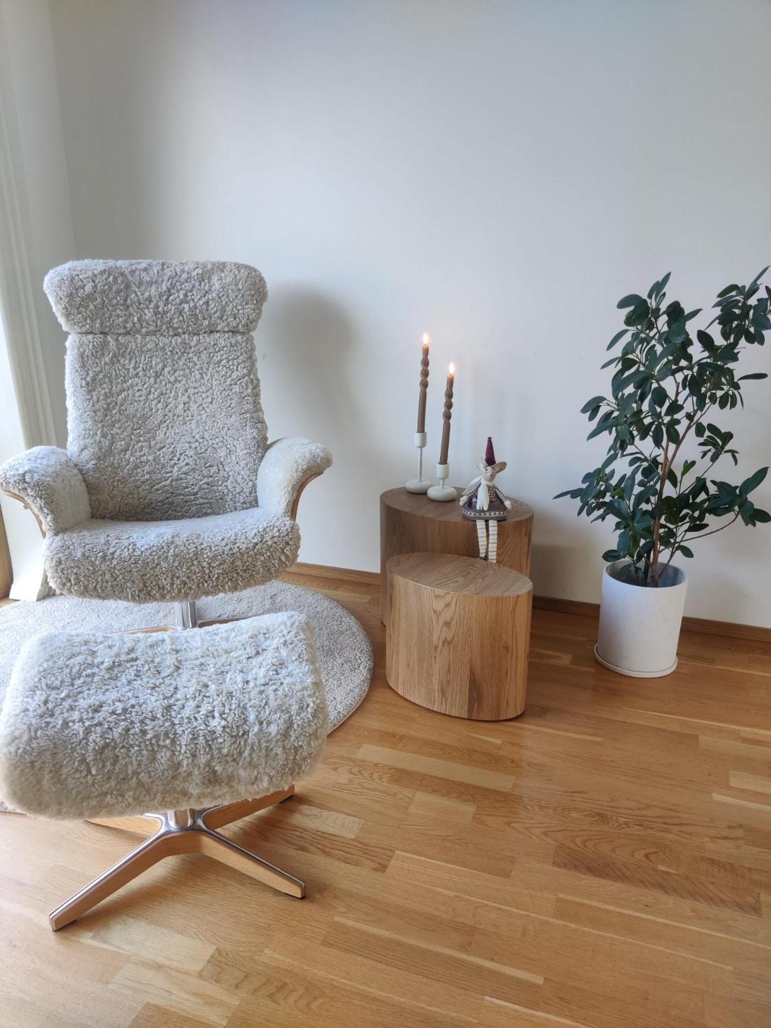 Scandinavian style house
