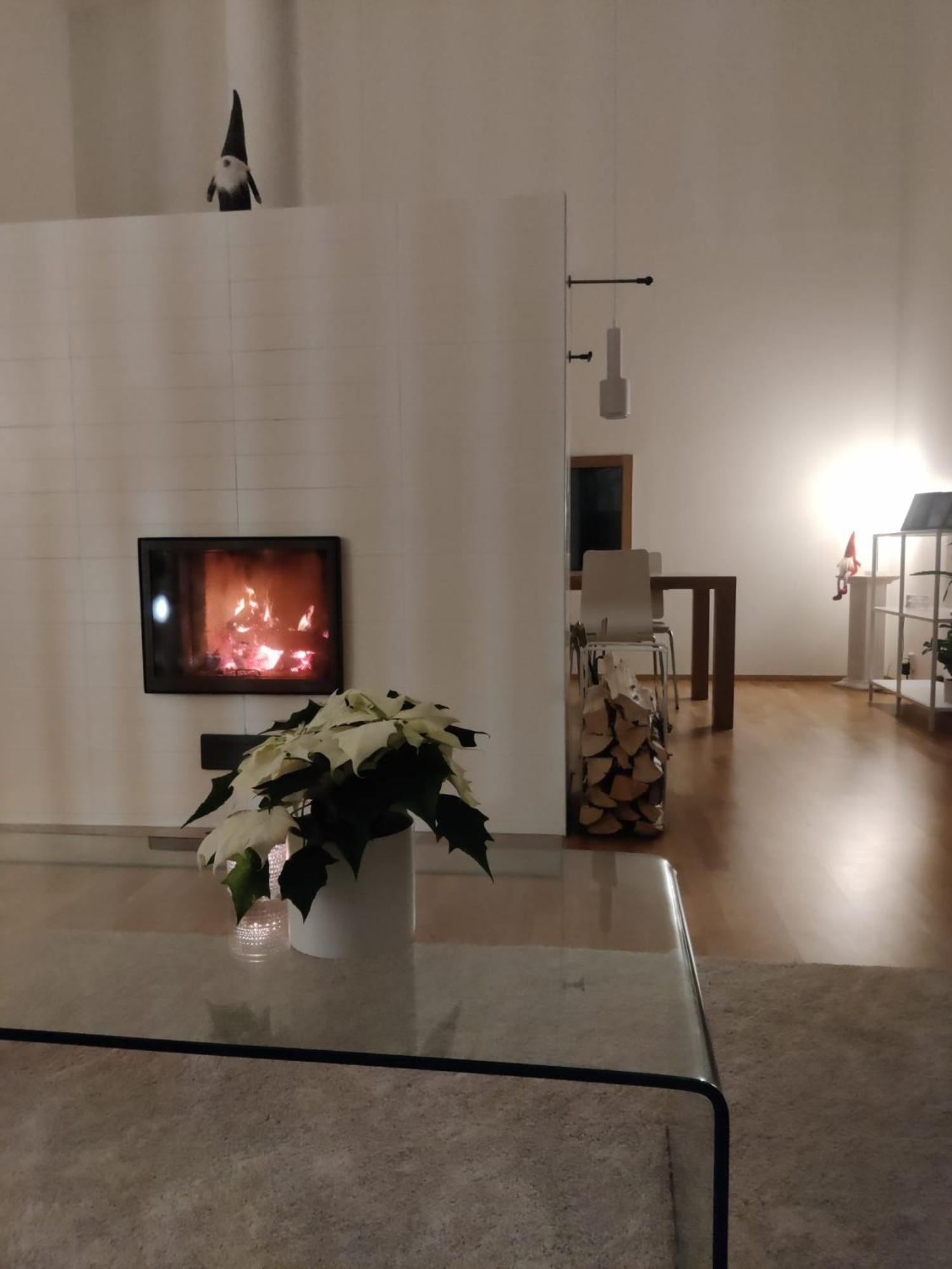 Scandinavian style house