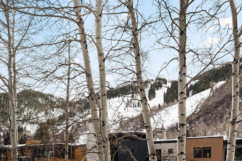 Hotel Timber Ridge Unit 3E - Image 1