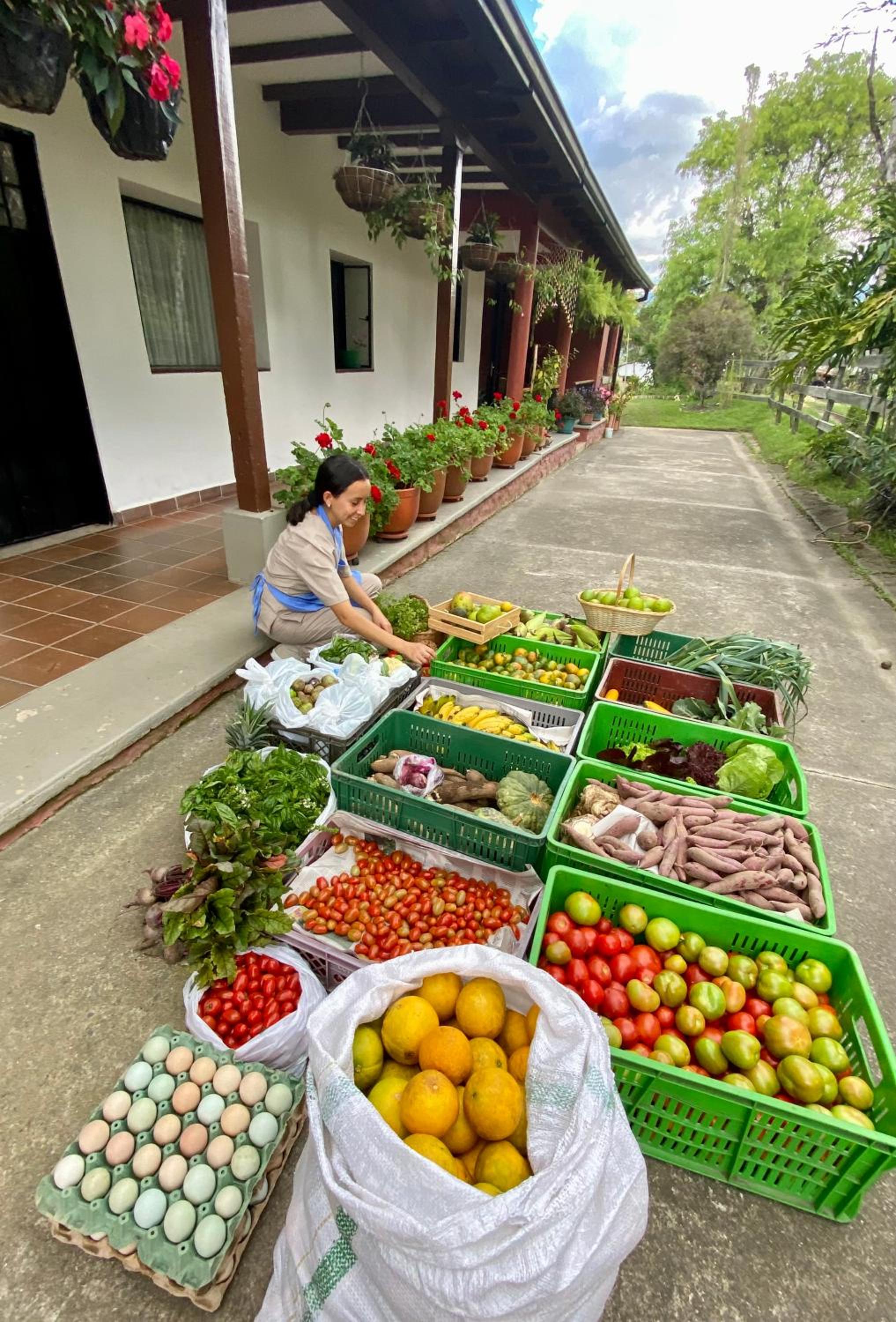 POSADA DEL CAMINO REAL