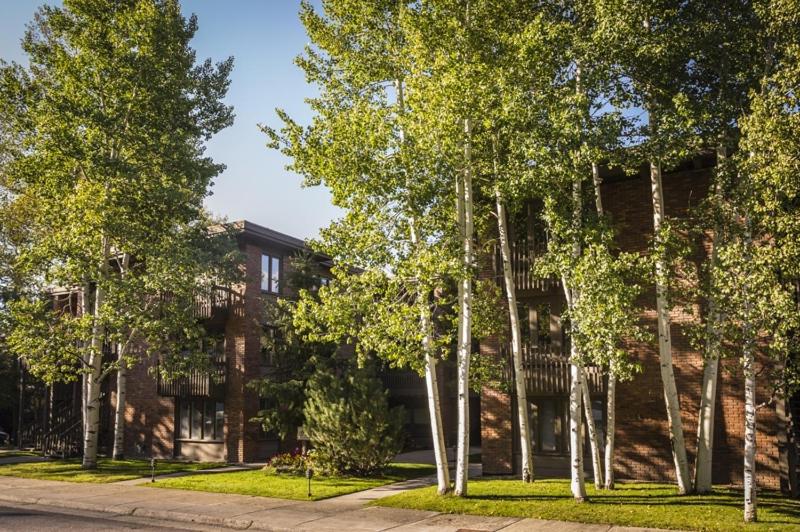 Cottonwoods Unit 1F, Stylish Condo with Excellent West End Location, Wood-Burning Fireplace view 3