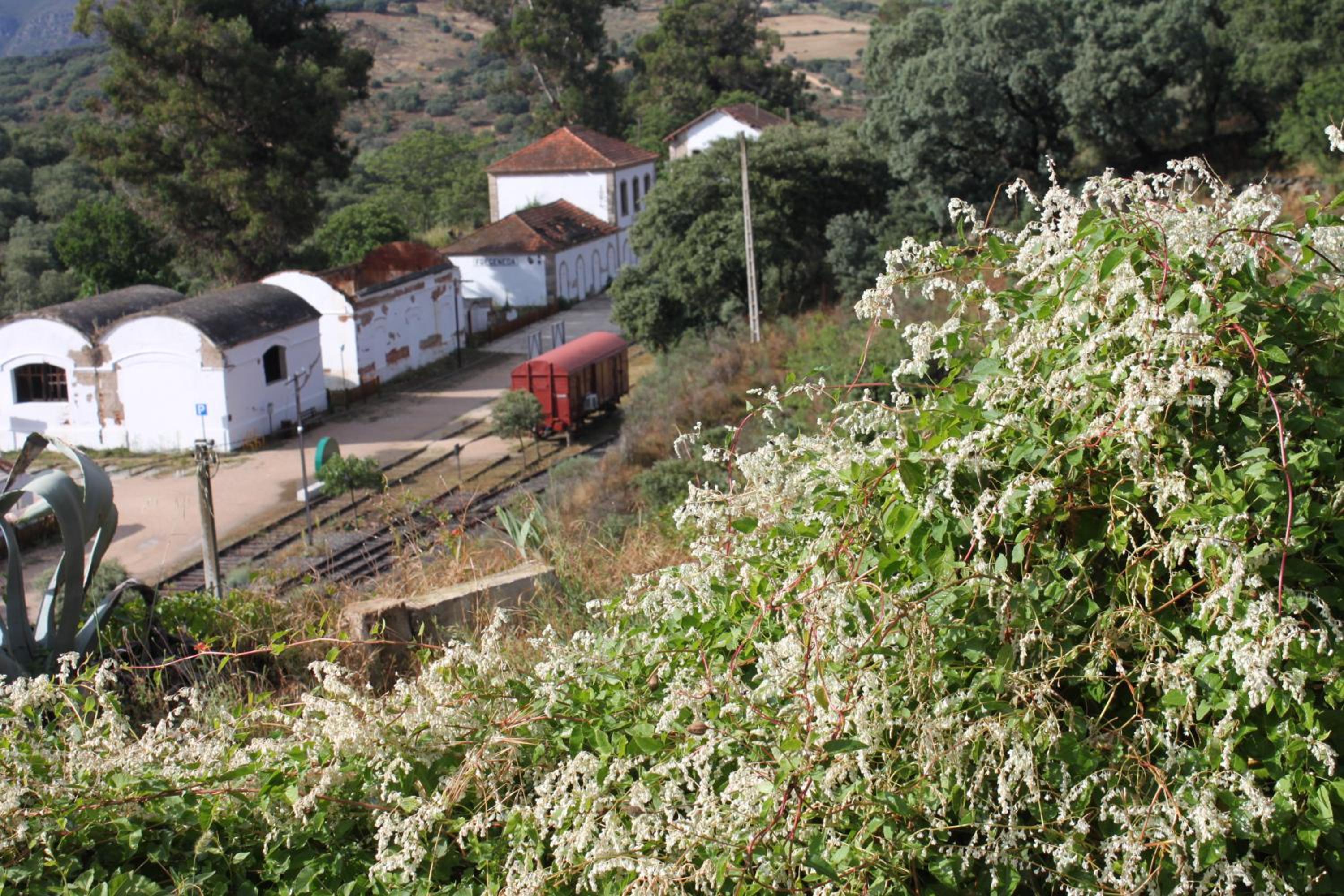 Casa Rural Camino de Hierro I y II view 5