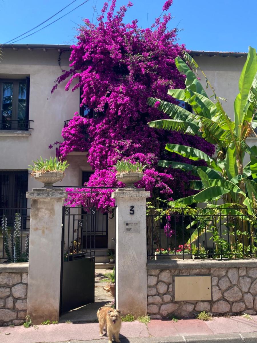 Montpellier Vacations - Les 4 etoiles - Property Image 19