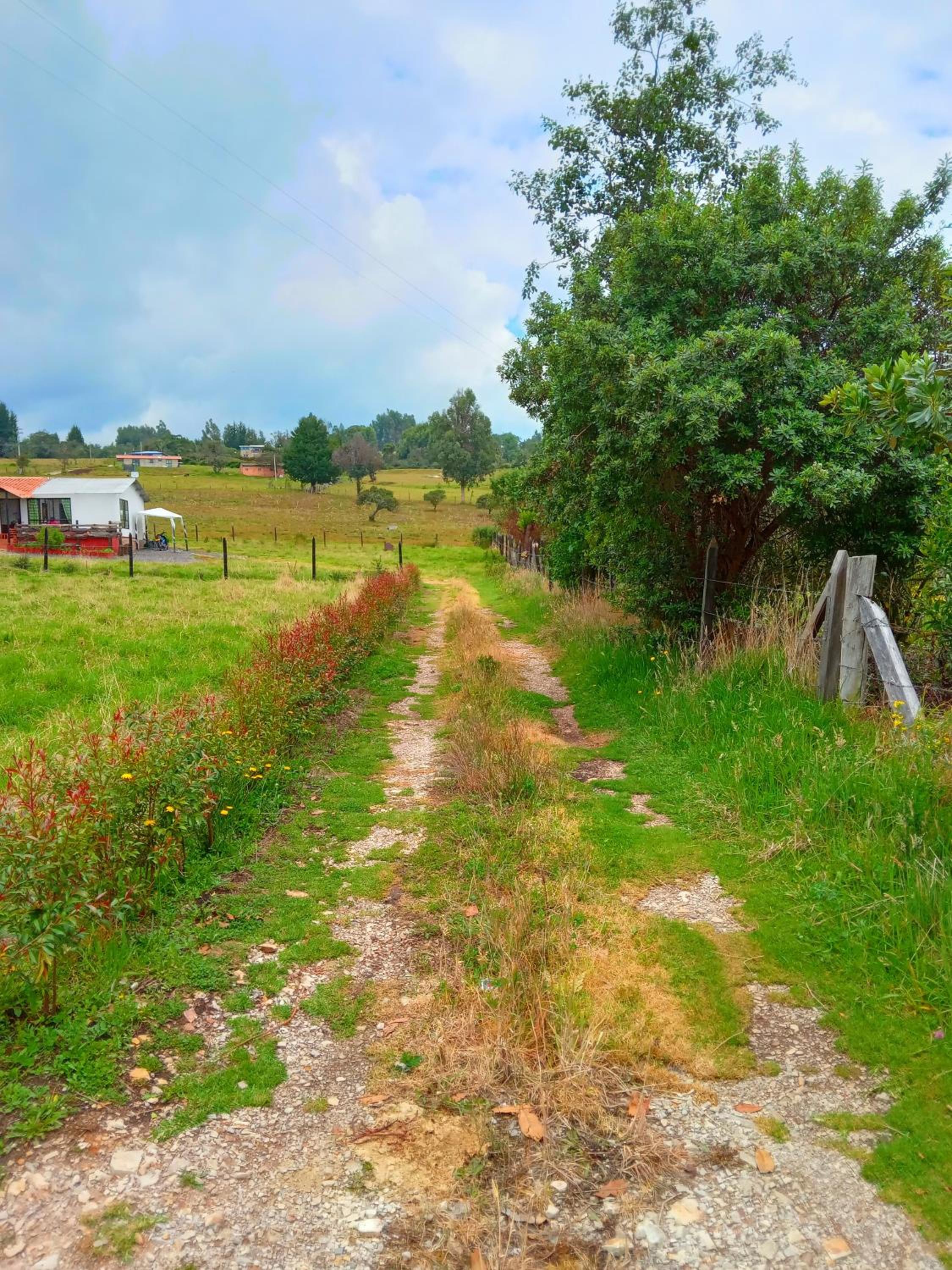 Casa Campo La Milagrosa