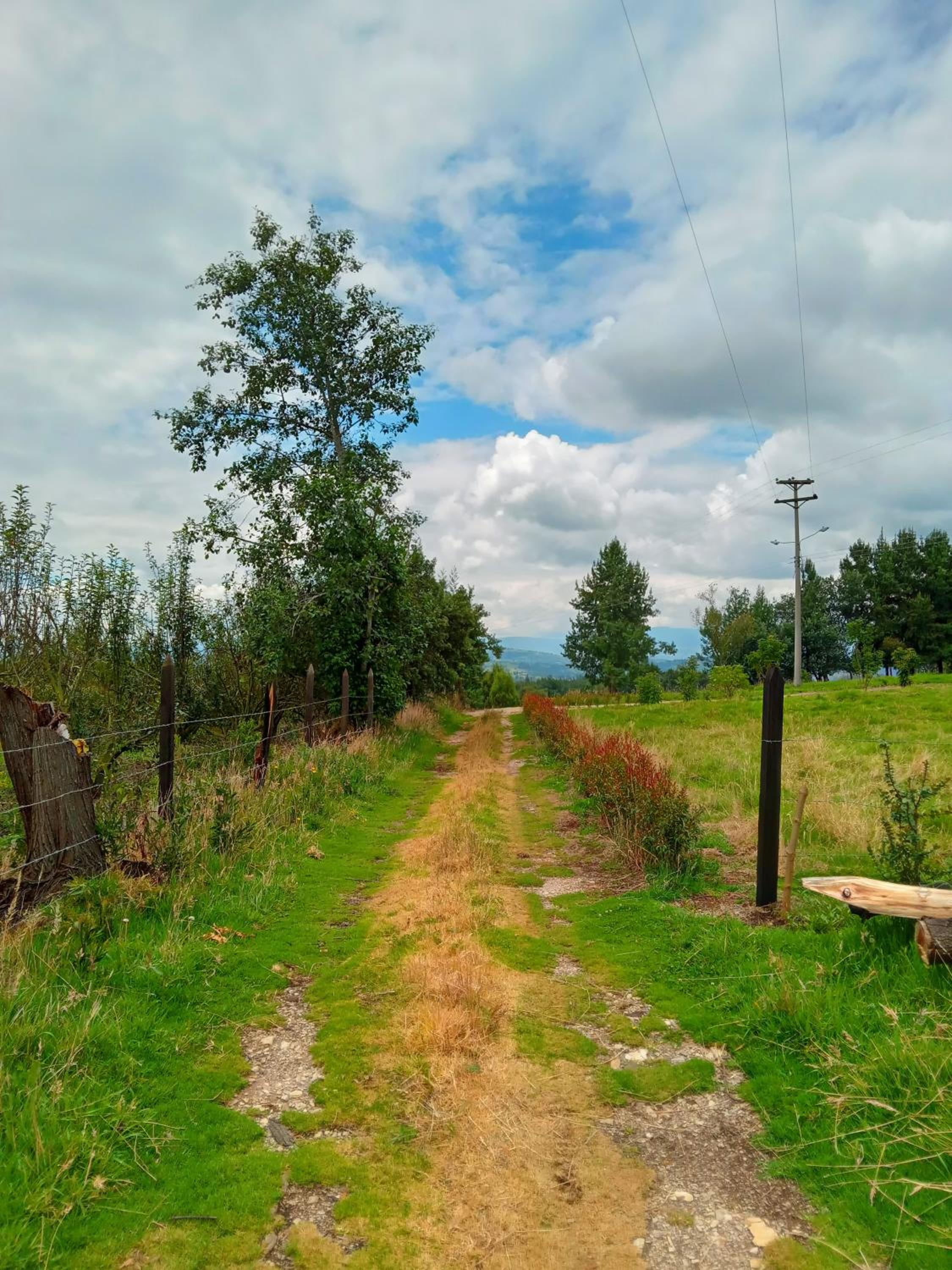 Casa Campo La Milagrosa