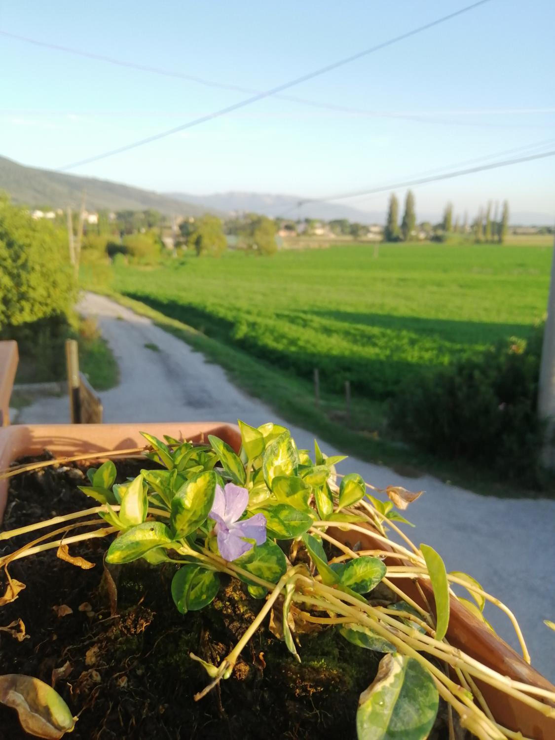 Canapai Assisi Rooms photo 5