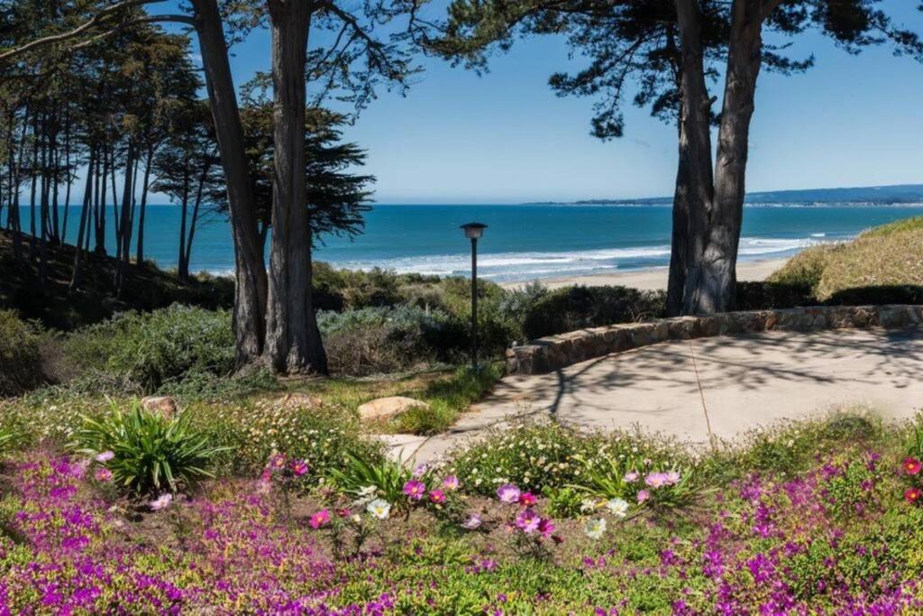 Seascape Ocean View Condo