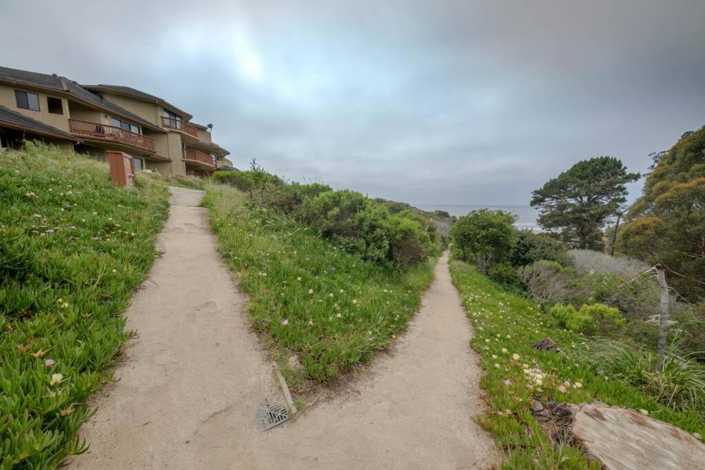 Seascape Ocean View Condo
