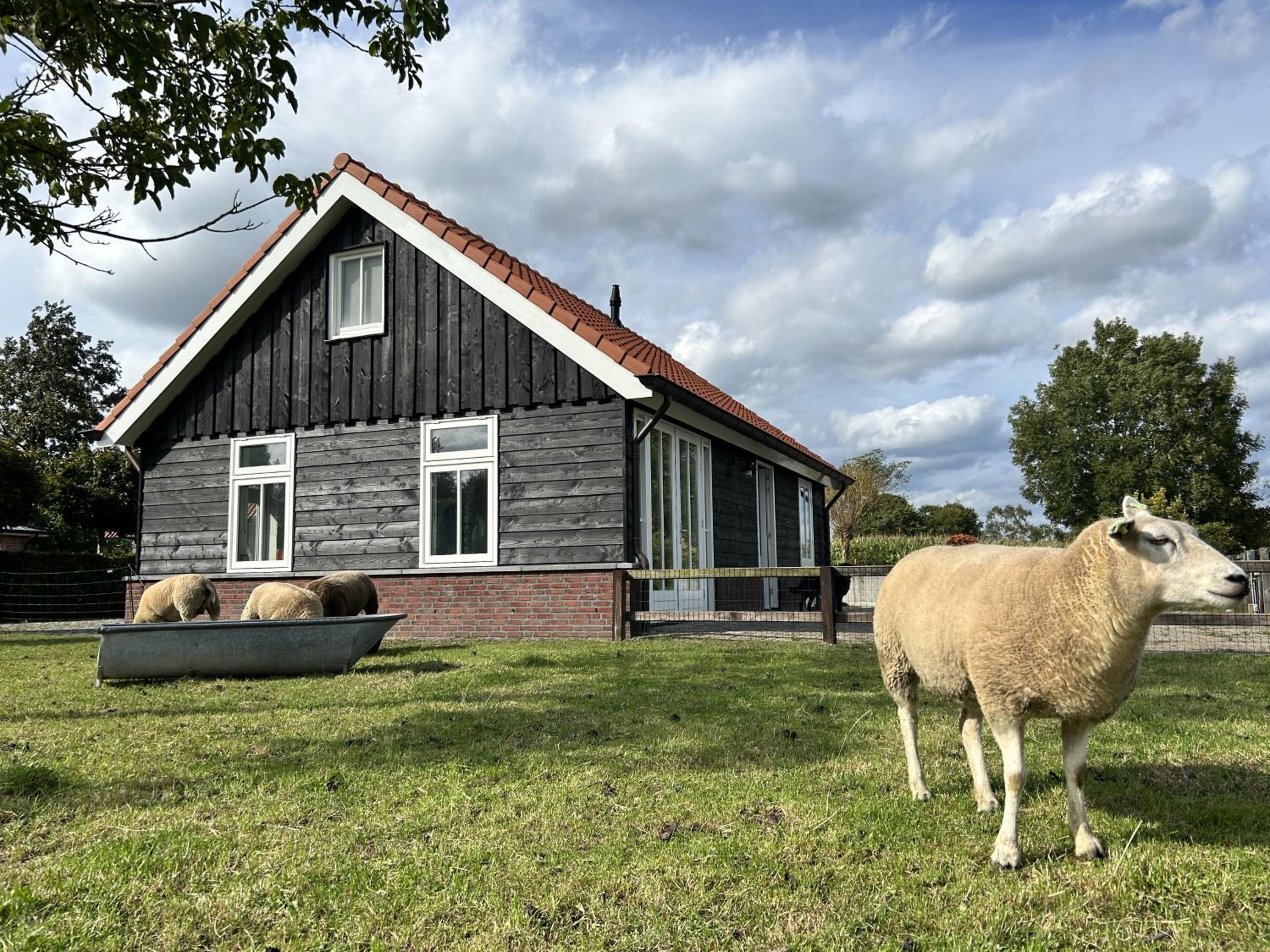 Geldersche tuin 6 persoons