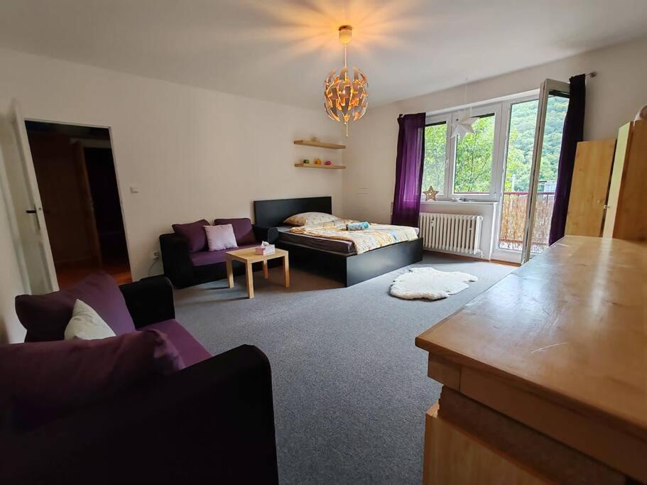 Apartment STAR Brno with terrace 5b