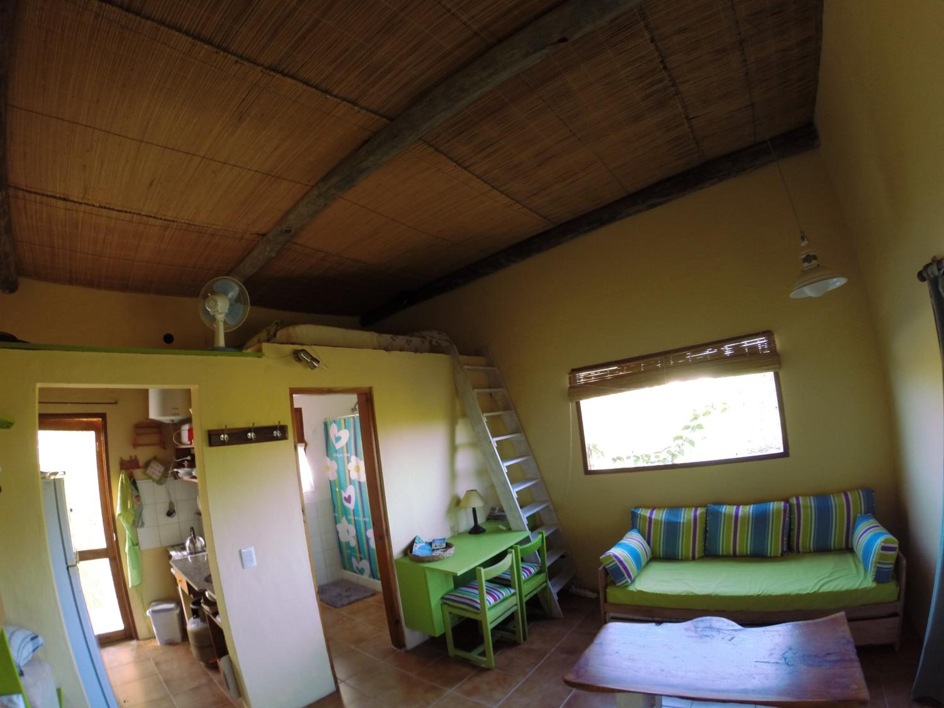 Photo 31