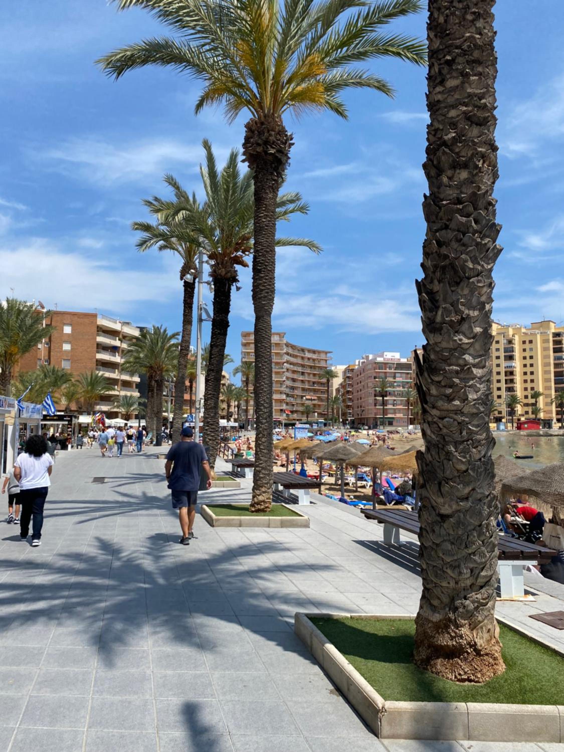Appartement Torrevieja Alicante