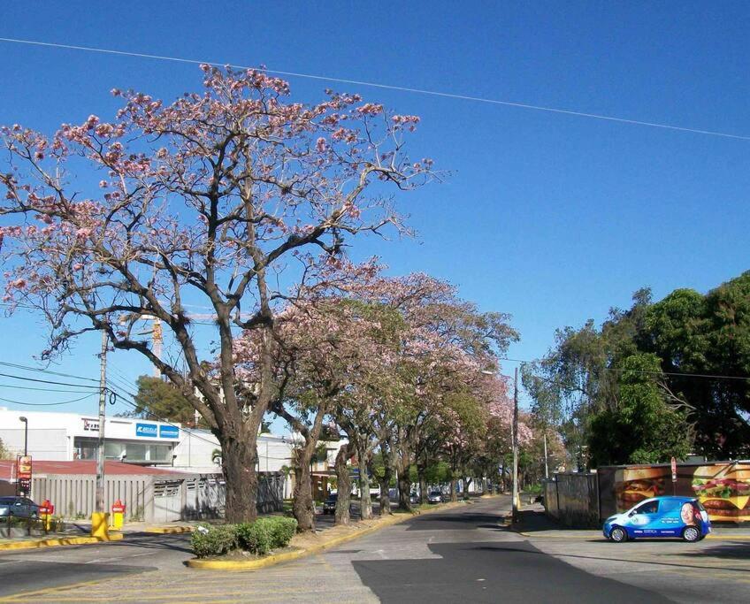 Apartamento-San José-WiFi