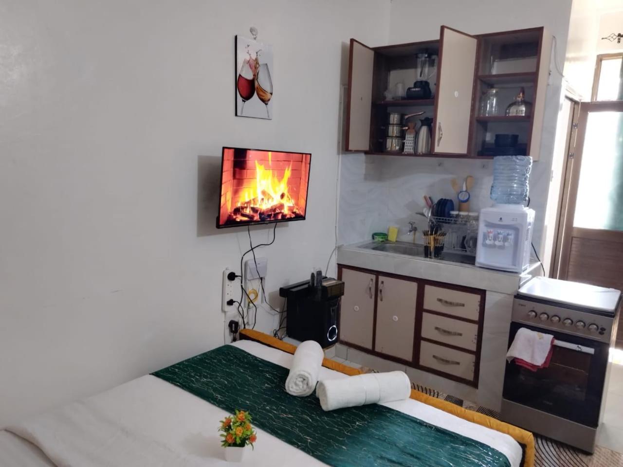 Classic Studio Apartment (bnb) view 3