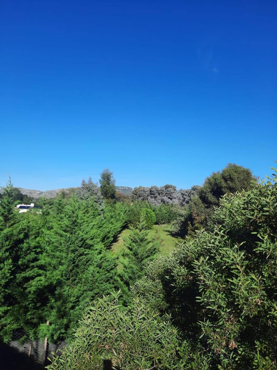 Vision Serrana