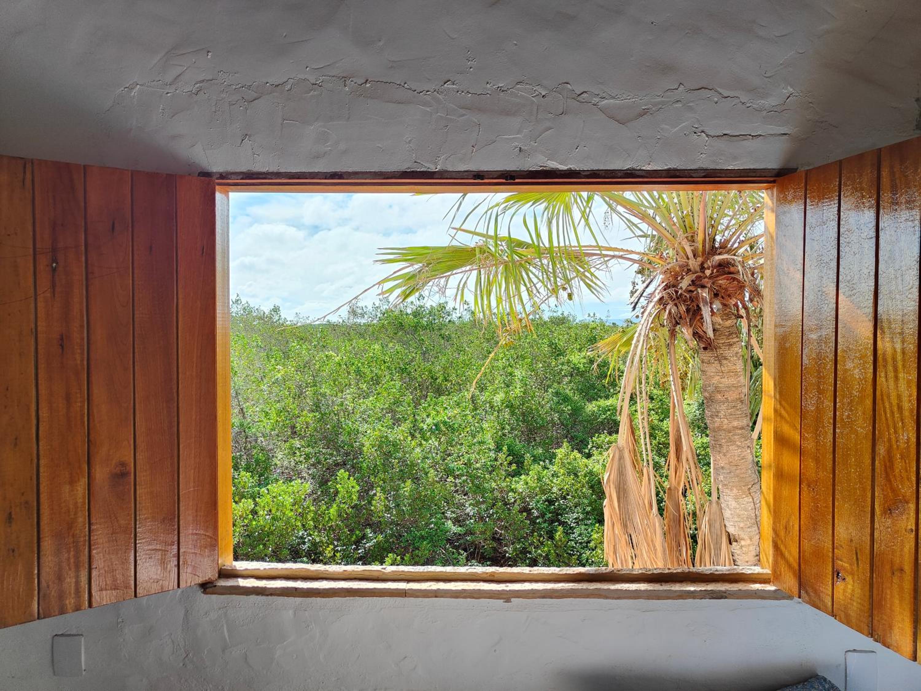 Casa Mangle