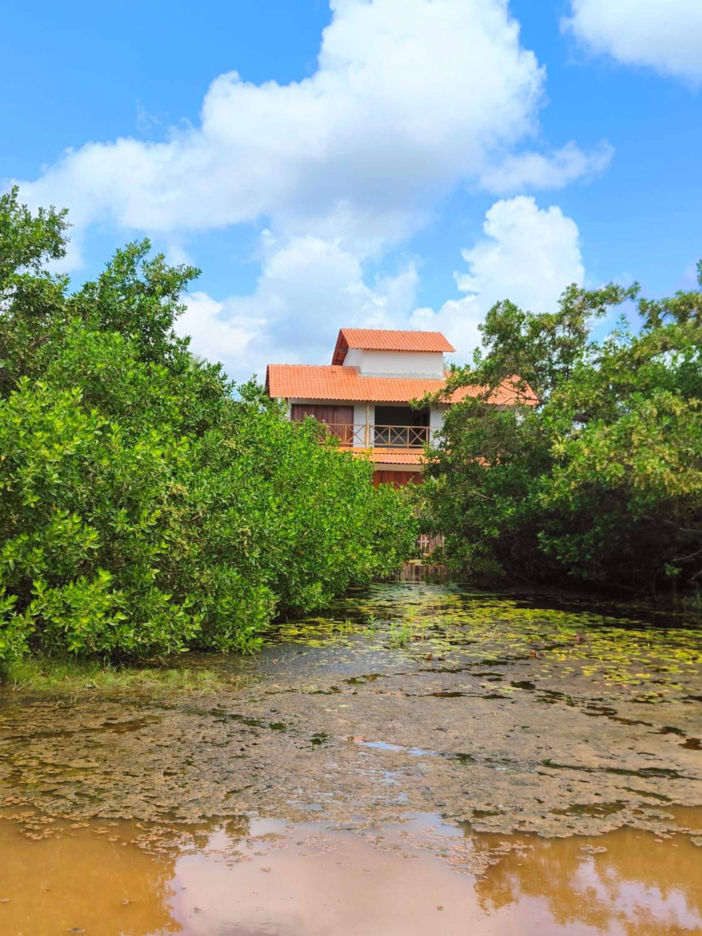 Casa Mangle