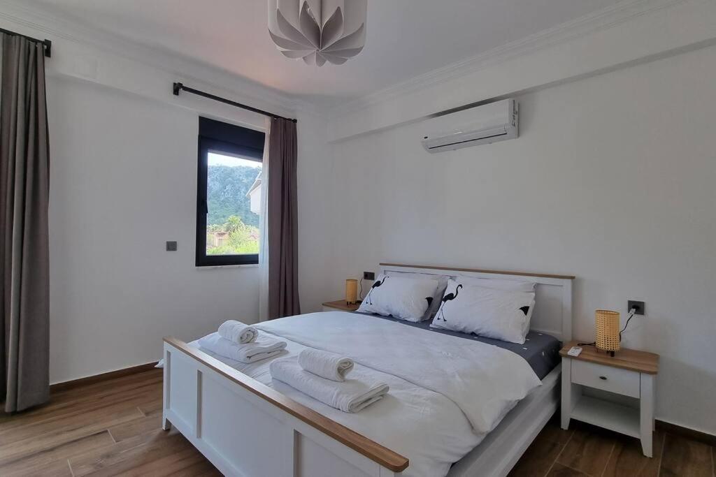 Dalyan Villa Melos view 4