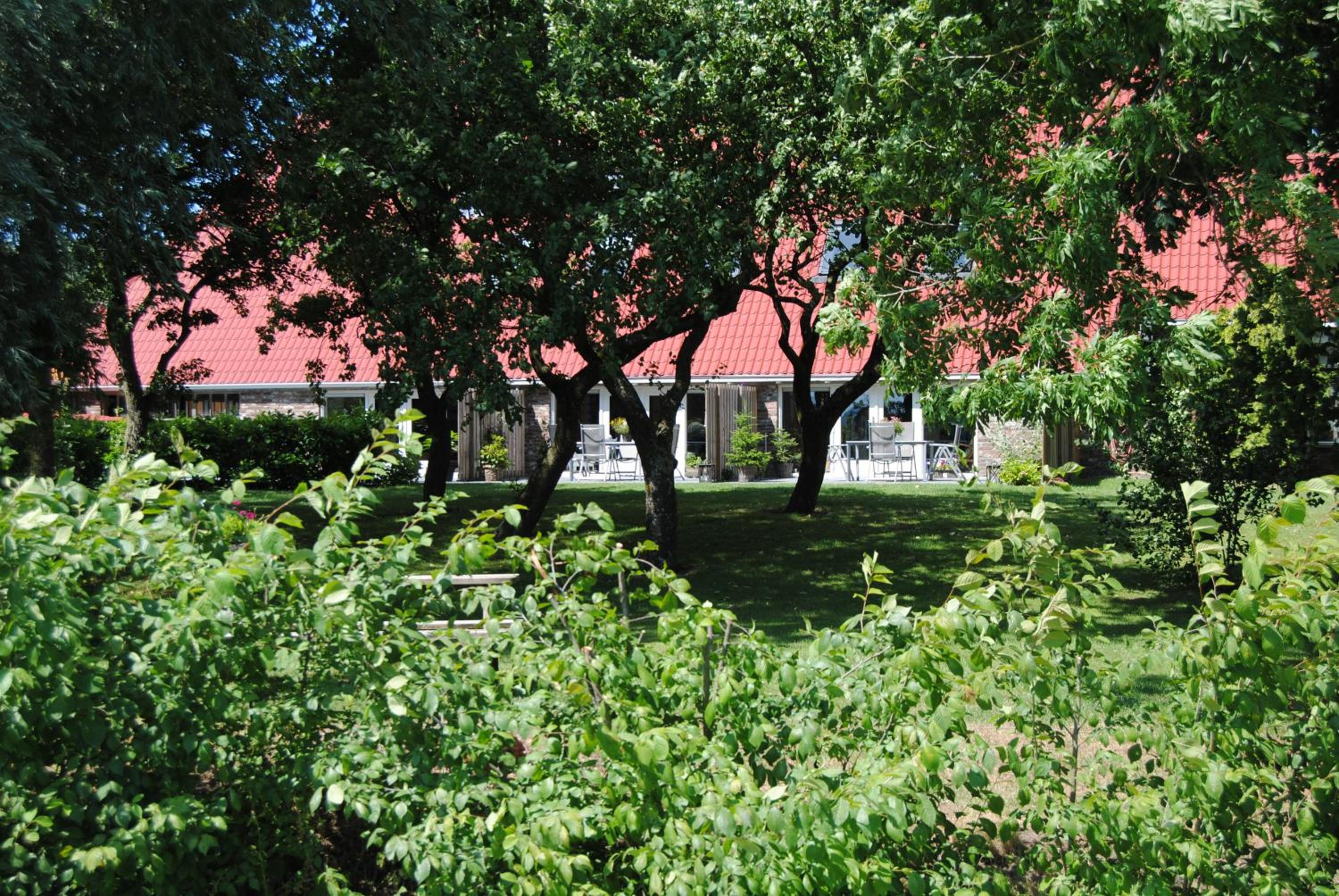 Photo 30