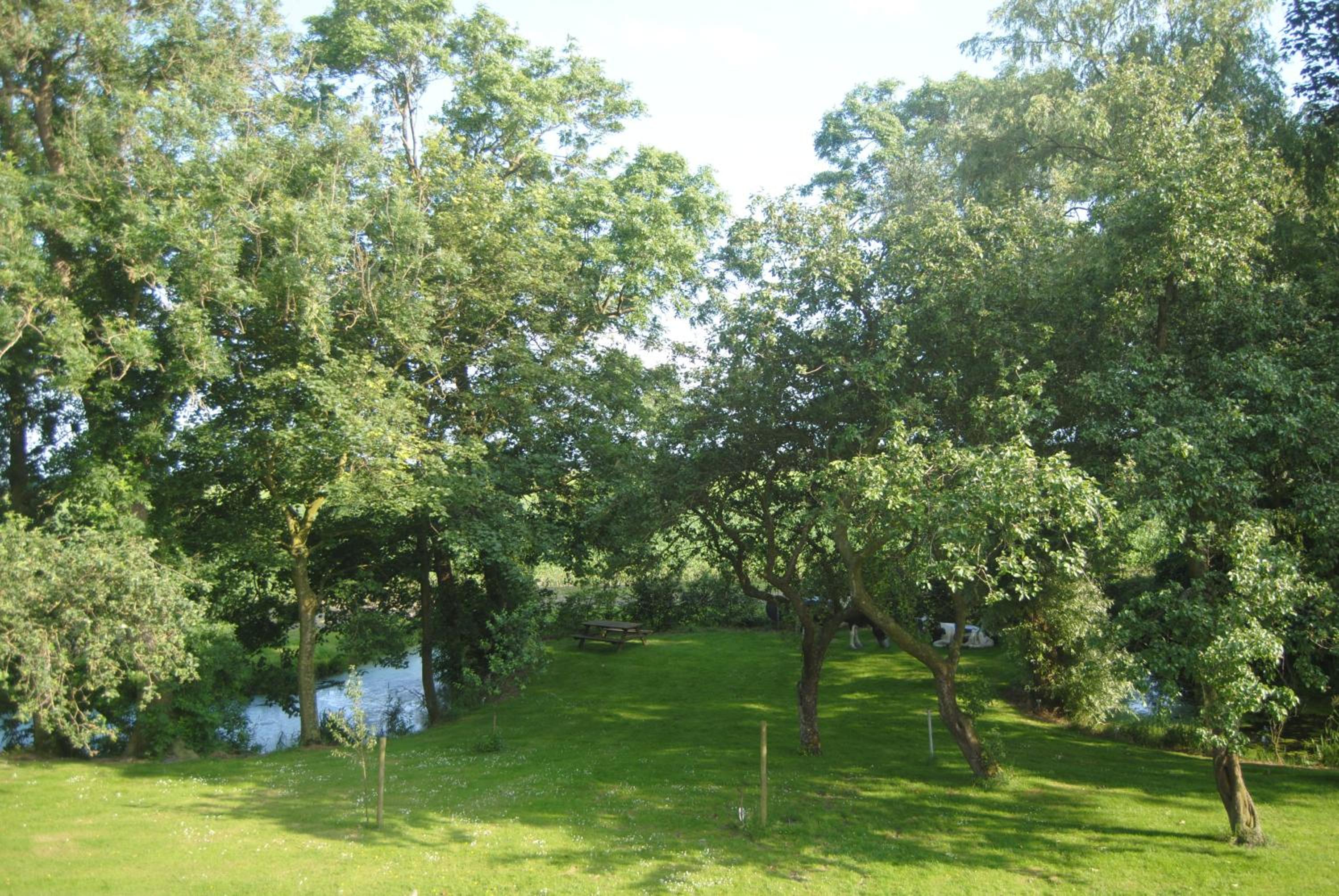Photo 34