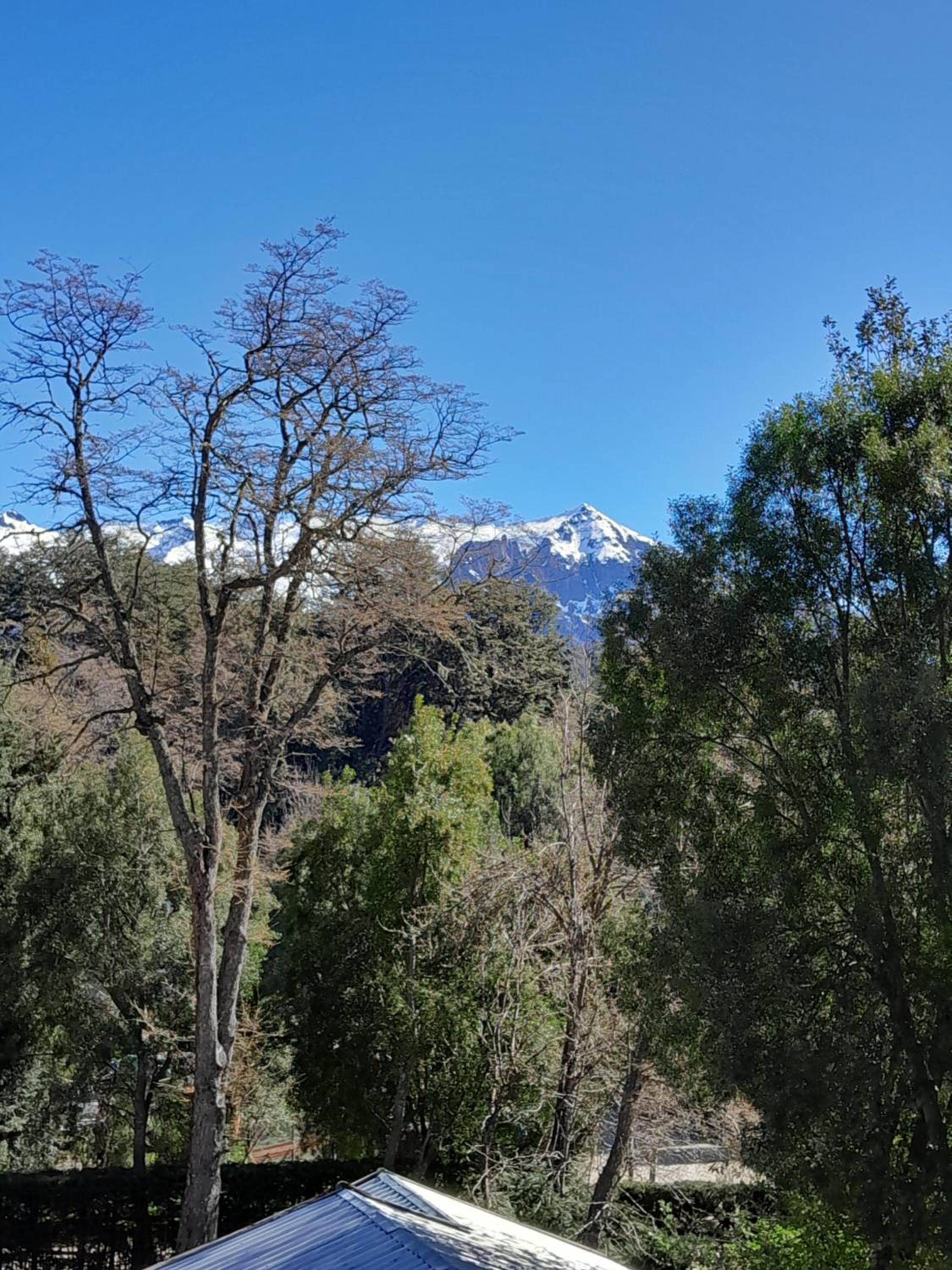Amancay entre Lagos & Bosques