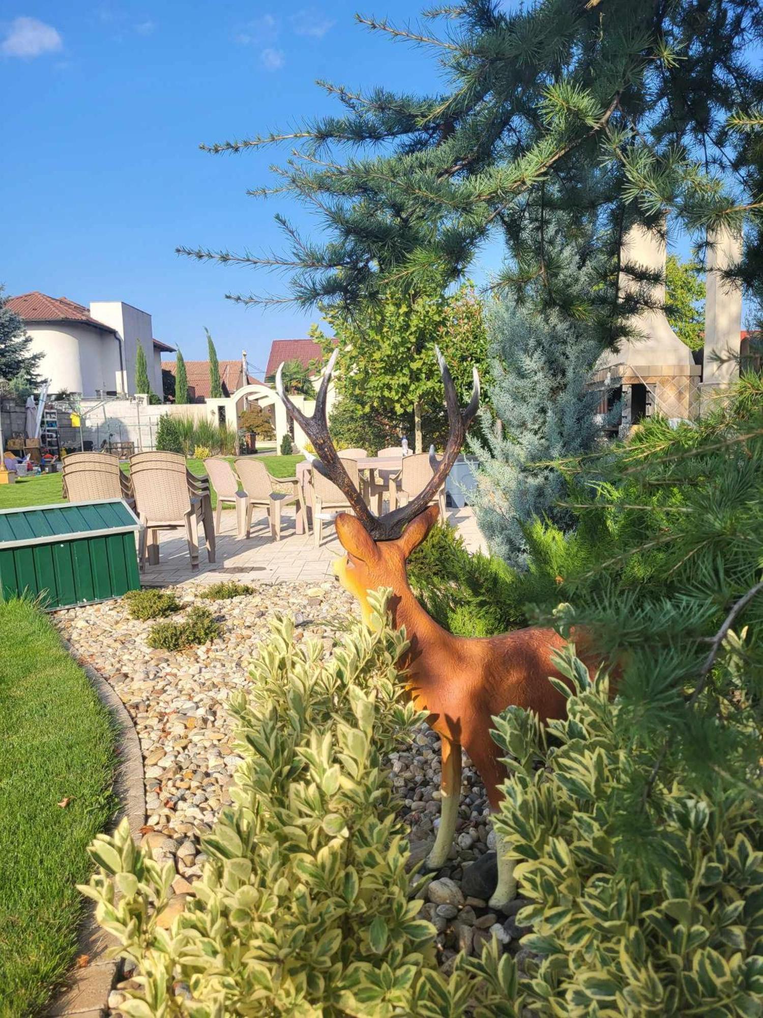 Sika Grand Palladium Garden & Spa Central Apartment - cazare Arad - self check in