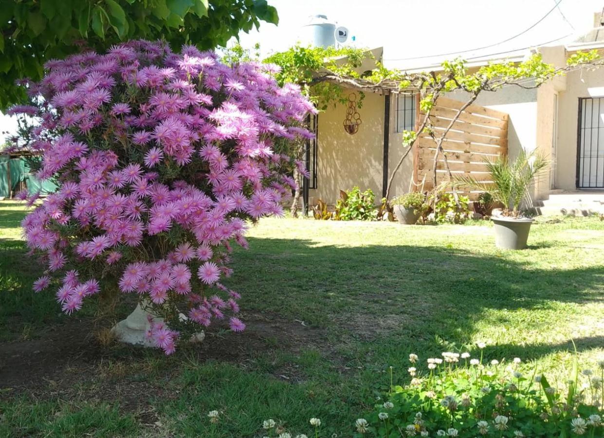 Vista Verde en San Rafael con pileta en temporada