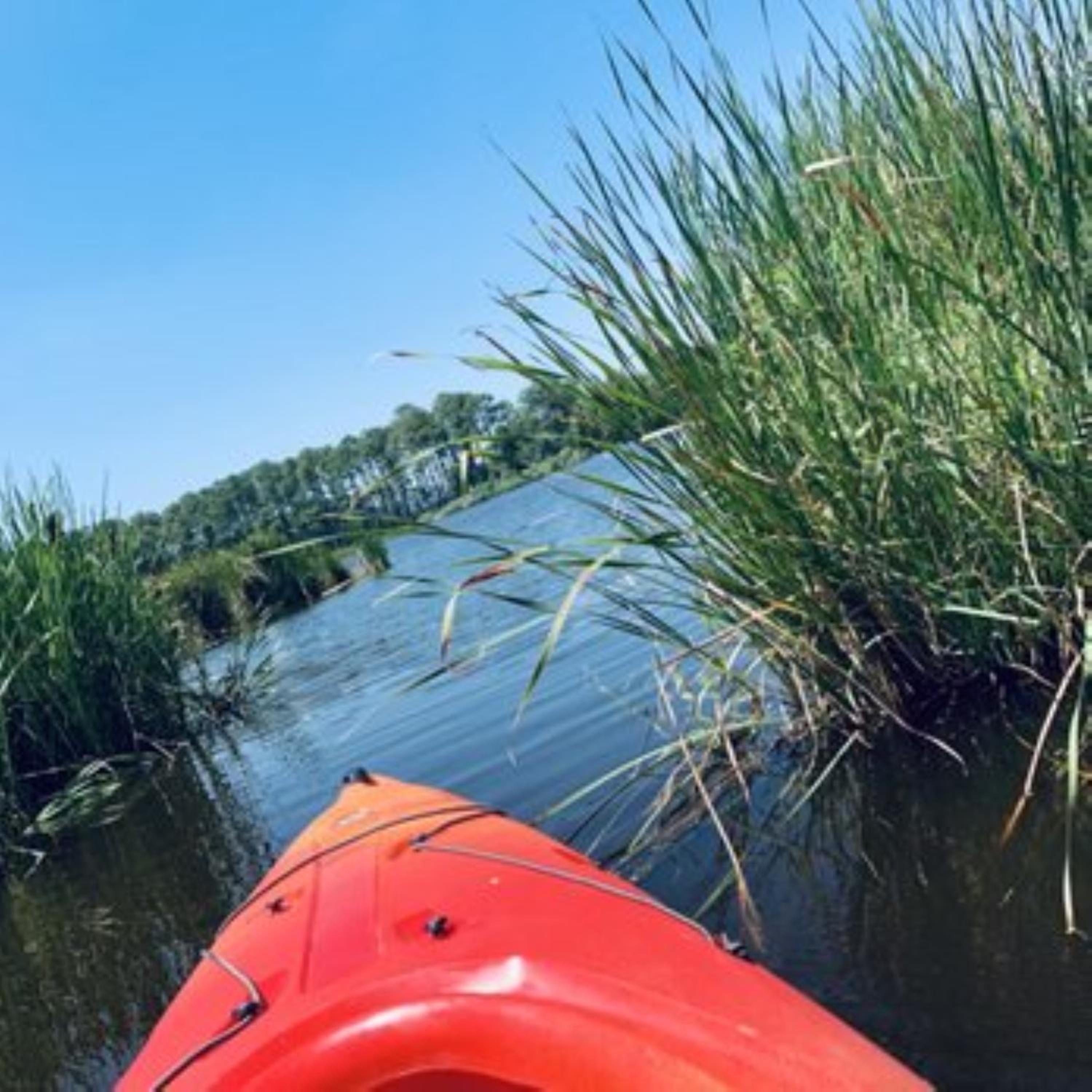 Comfort Inn  Suites Cambridge - Property Image 32