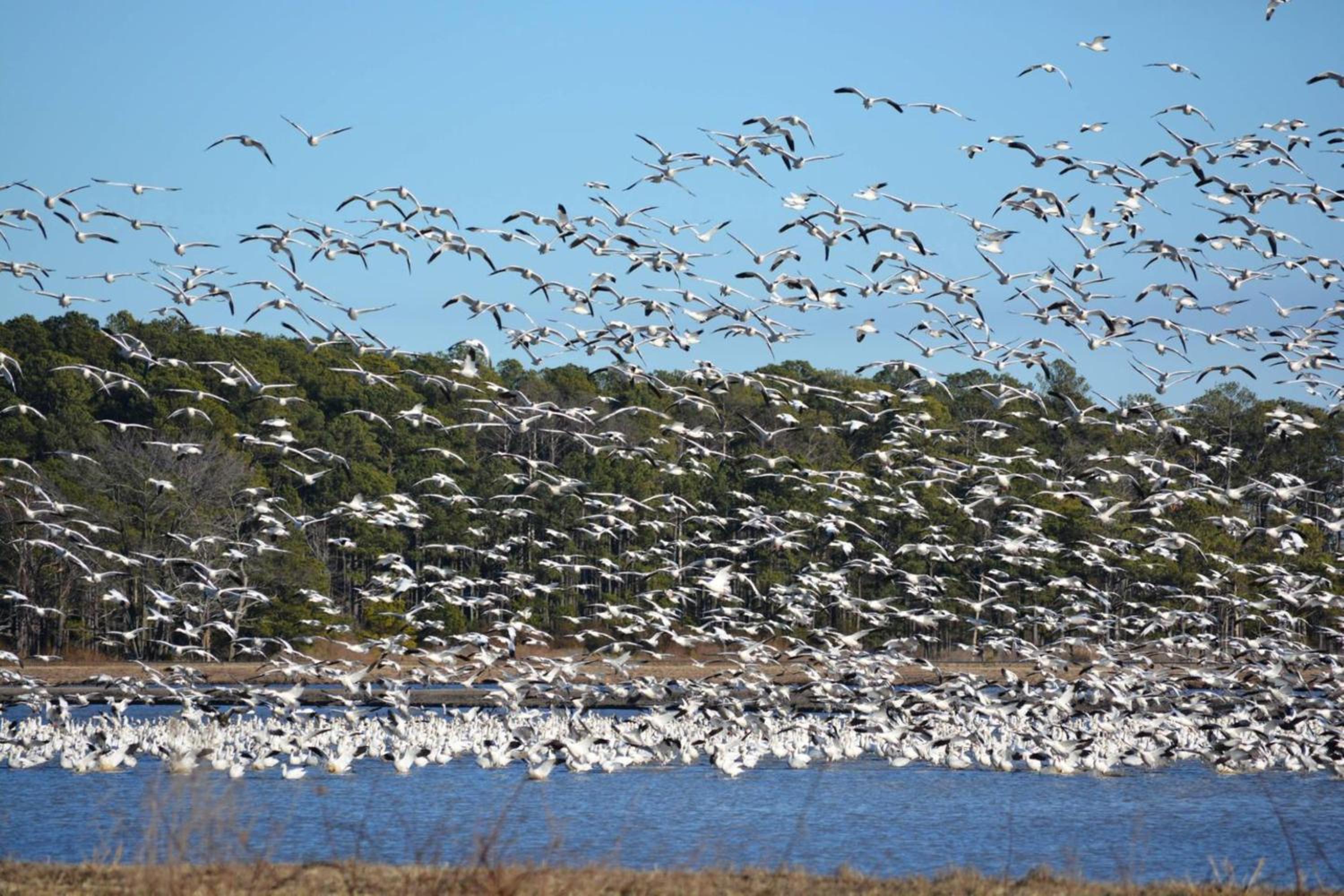 Comfort Inn  Suites Cambridge - Property Image 33