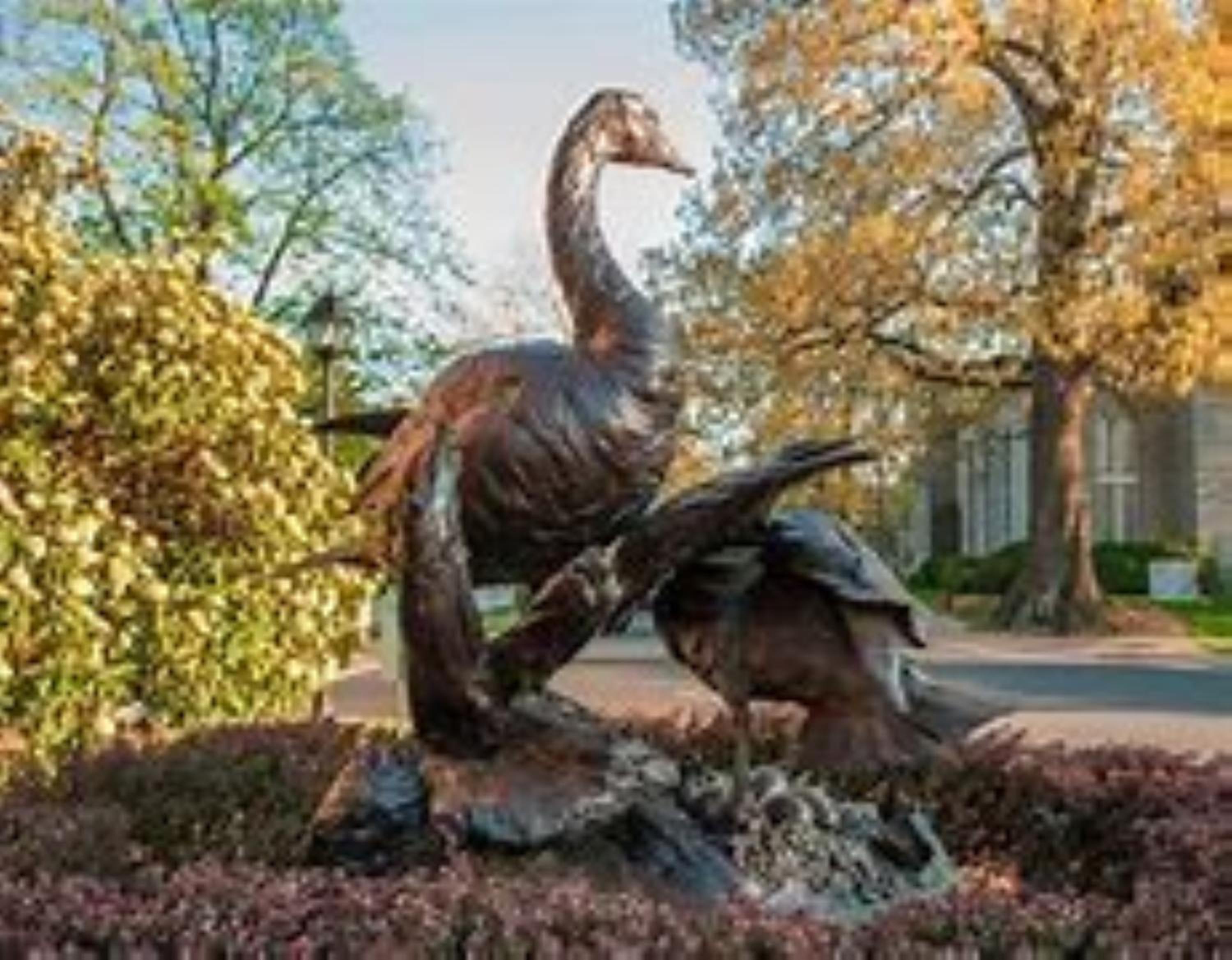 Comfort Inn  Suites Cambridge - Property Image 34