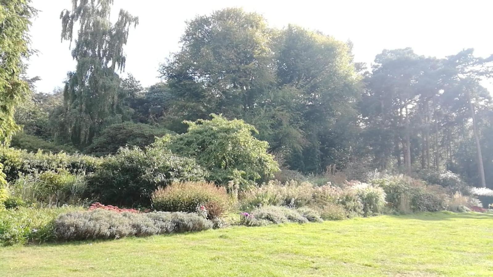 Photo 43