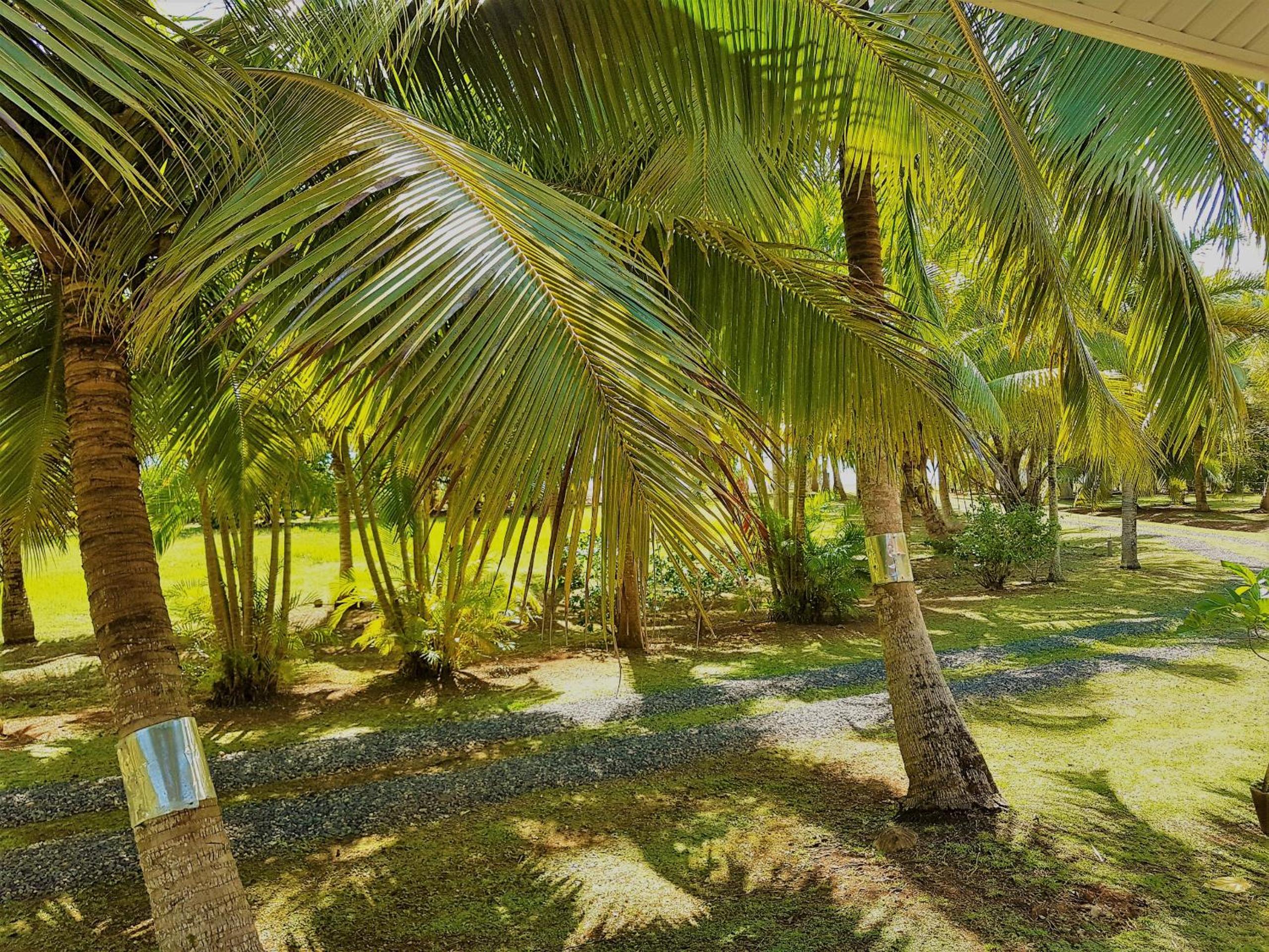 HUAHINE - Tipanier House view 3