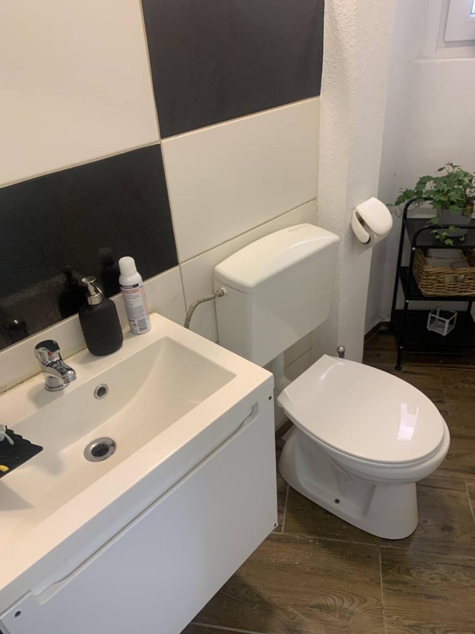 Apartament HOTEL LIMON
