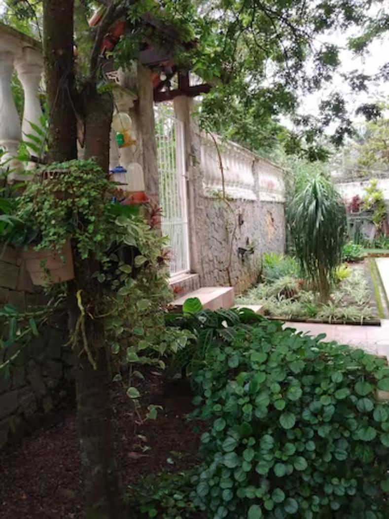 Cantinho da Vovó Regina