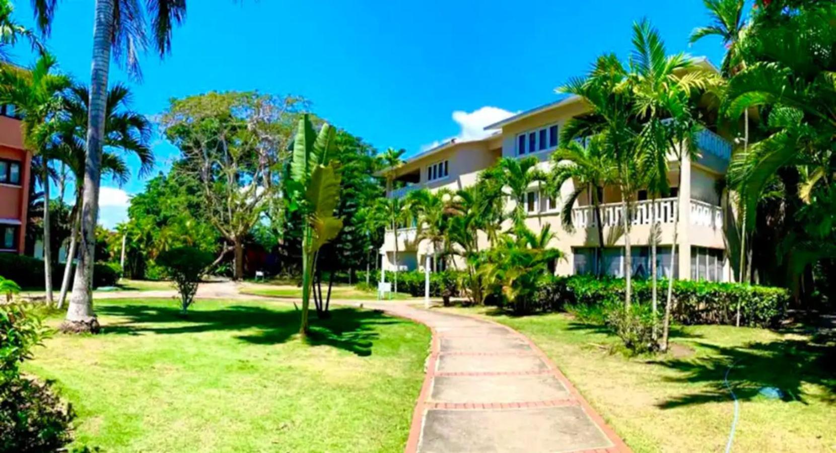 Paradis Mimies Dominican Bay