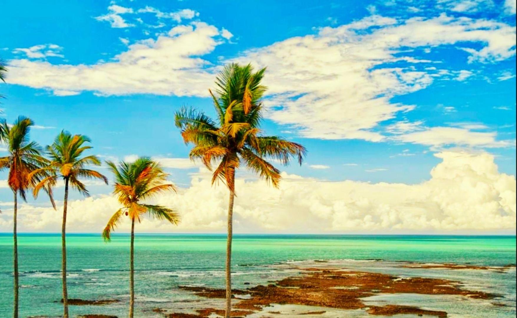 Pé na Areia Chales e Studios - Cumuruxatiba, BA