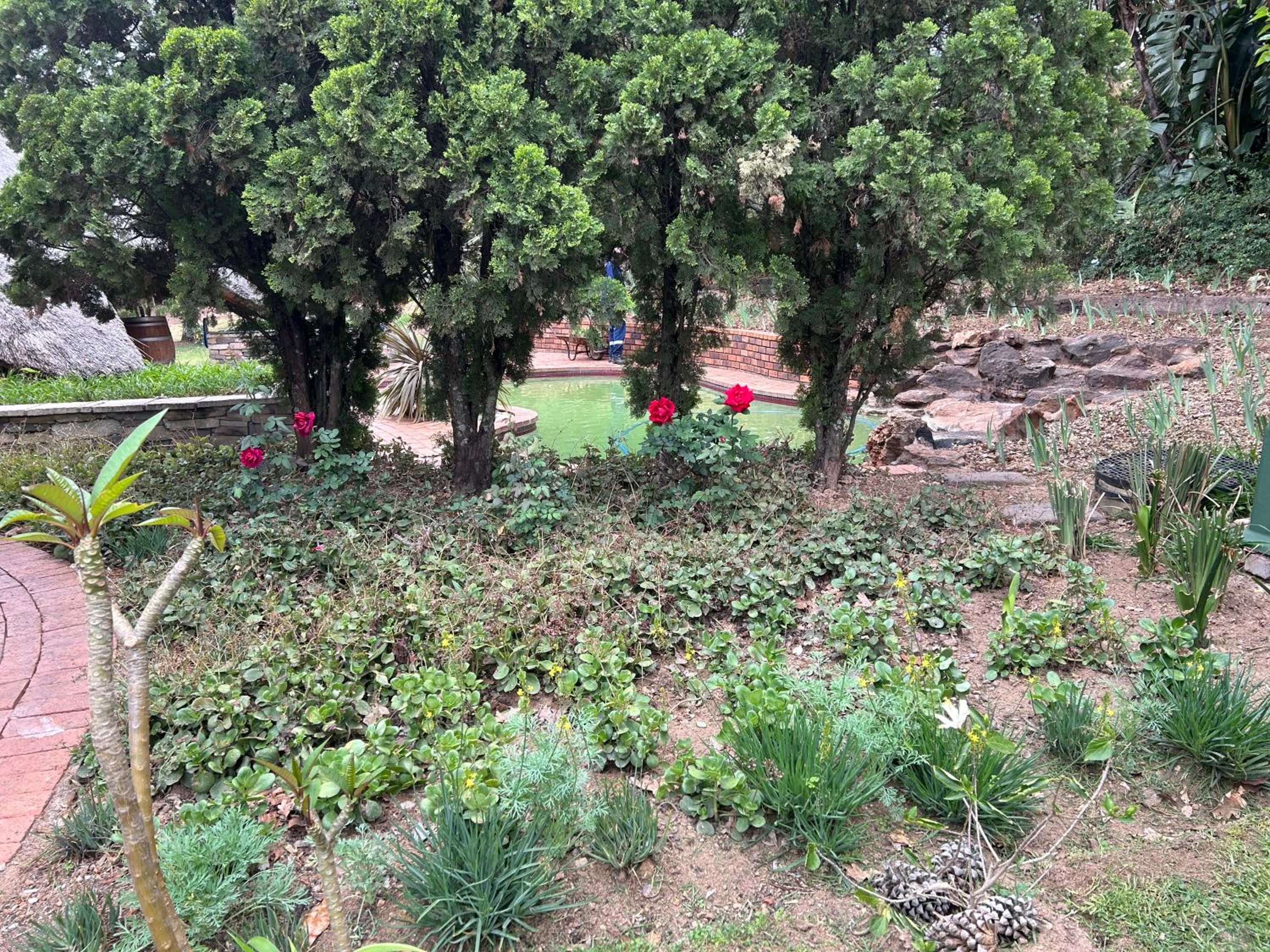 Oak Tree Lodge, Beaulieu, Kyalami view 5