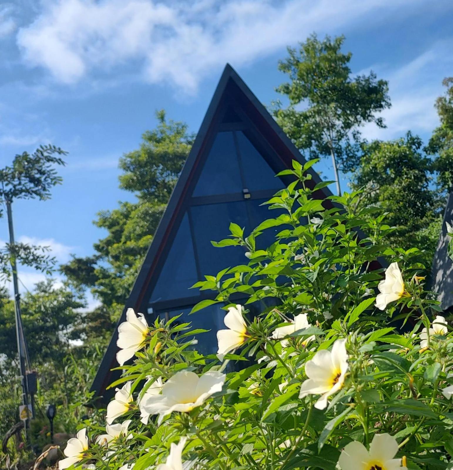 Yarumo Lodge, Río Celeste Black Chalets