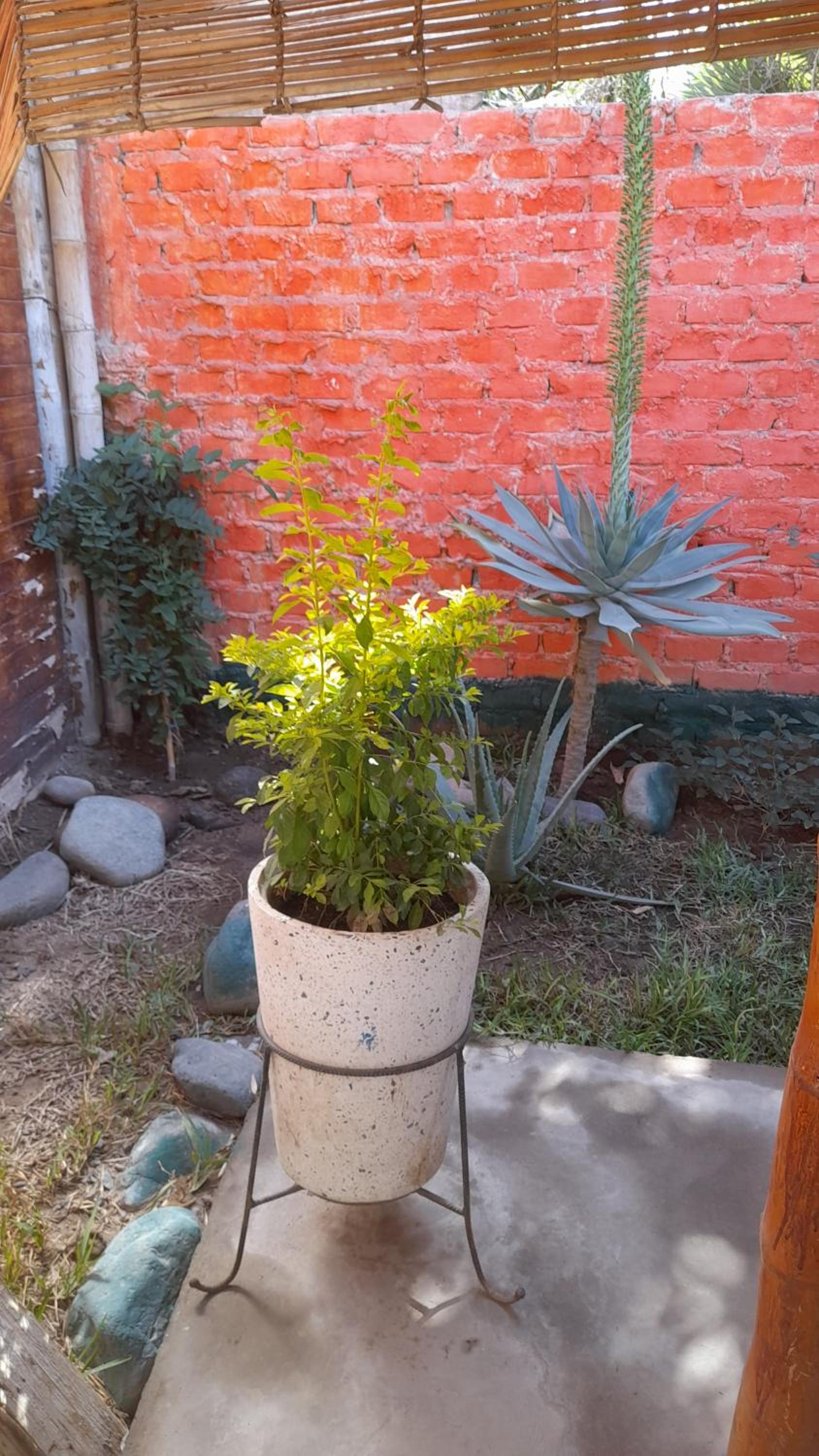 Nasca Trails B&B