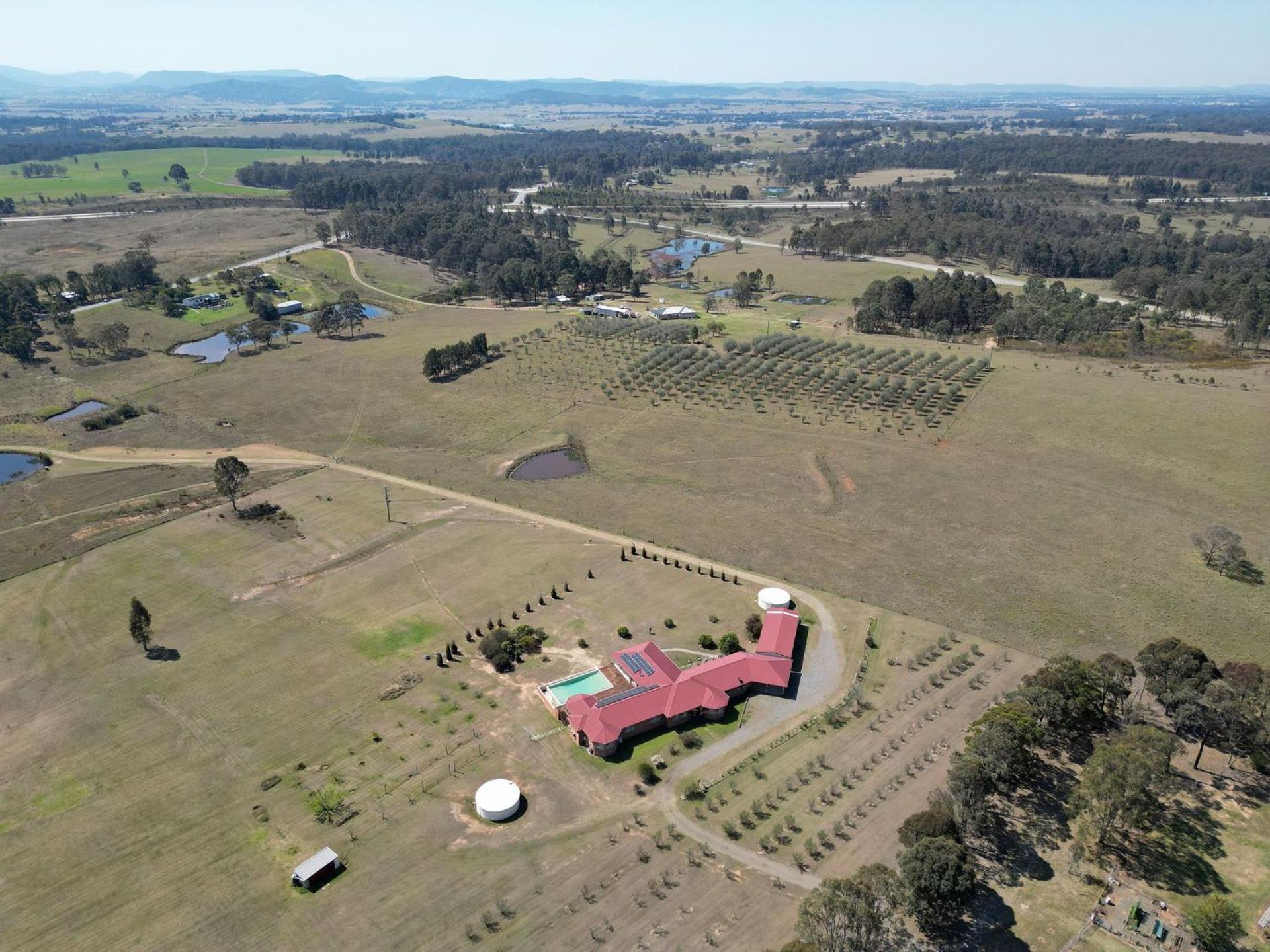Noble Willow Homestead