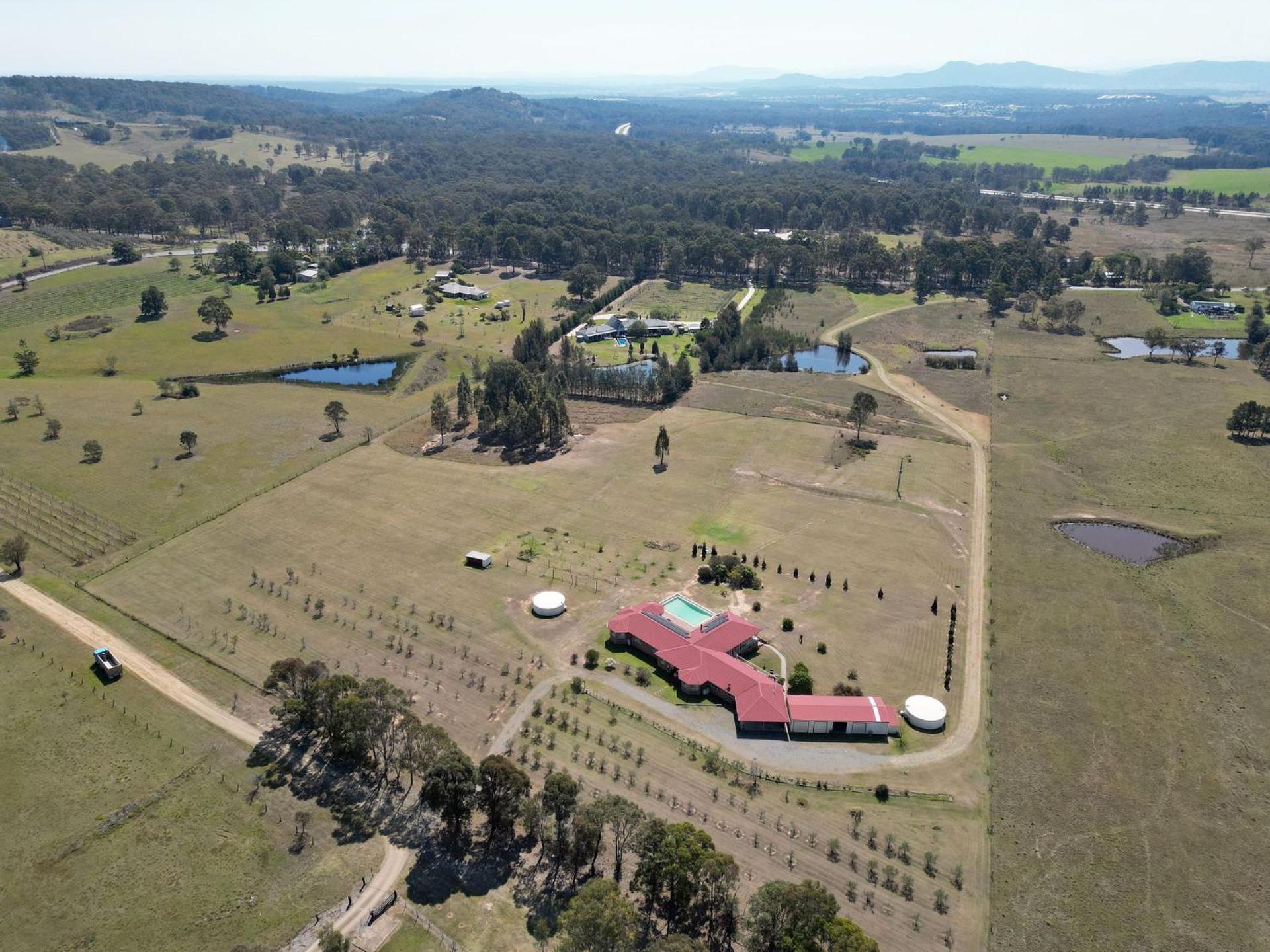 Noble Willow Homestead