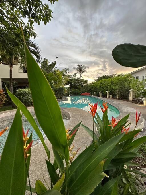 Renovated 2 Bed condo 5 min walk to beach